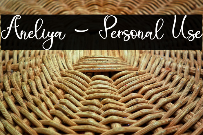 Aneliya - Personal Use Example 1