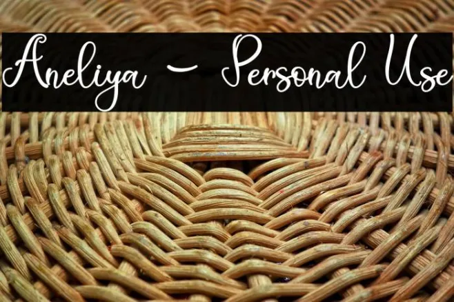 Aneliya - Personal Use Example 1