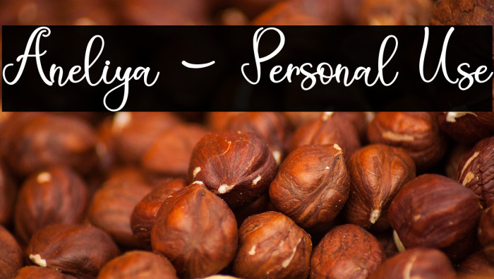 Aneliya - Personal Use Example 2