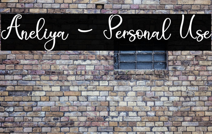 Aneliya - Personal Use Example 3