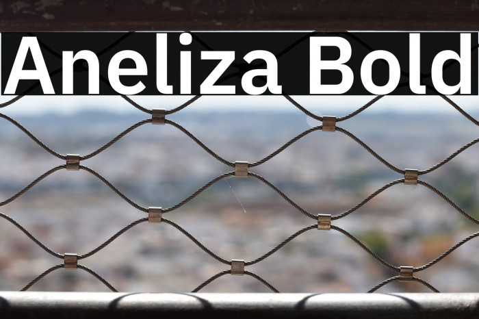 Aneliza Bold Example 1