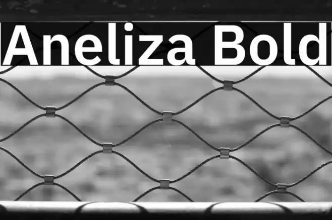 Aneliza Bold Caratteri examples