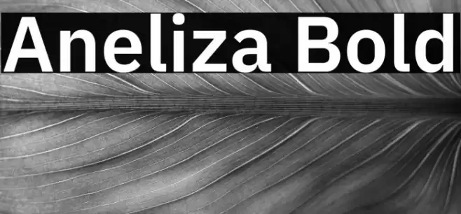 Aneliza Bold Caratteri examples