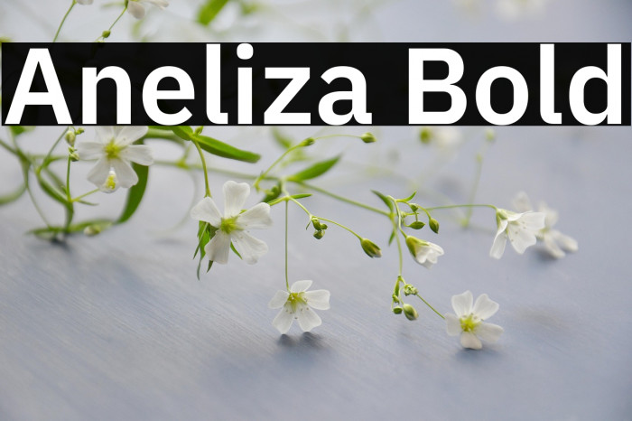 Aneliza Bold Example 3