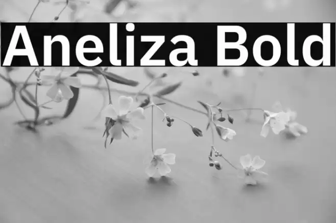 Aneliza Bold Caratteri examples