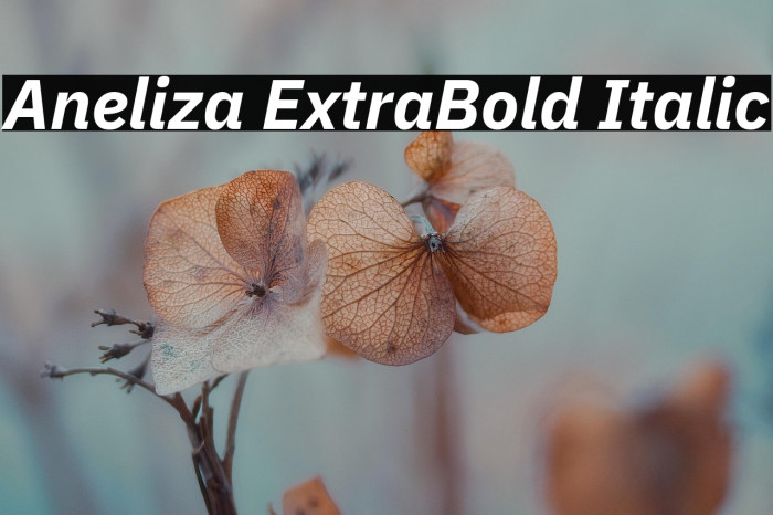 Aneliza ExtraBold Italic Example 3