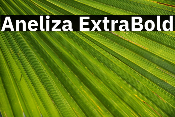 Aneliza ExtraBold Example 2