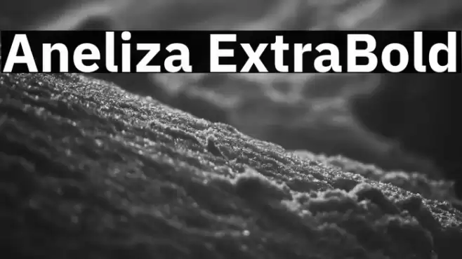Aneliza ExtraBold Font examples