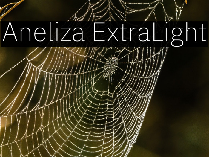 Aneliza ExtraLight Example 2