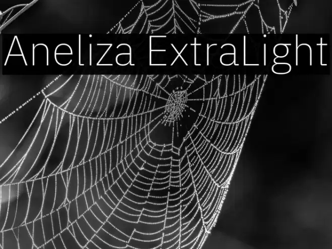 Aneliza ExtraLight Caratteri examples