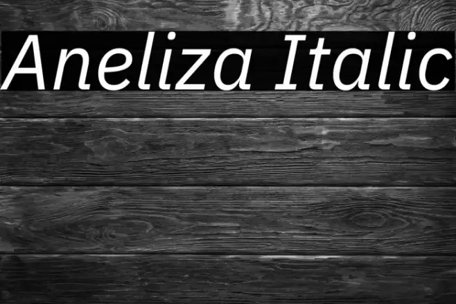 Aneliza Italic Caratteri examples