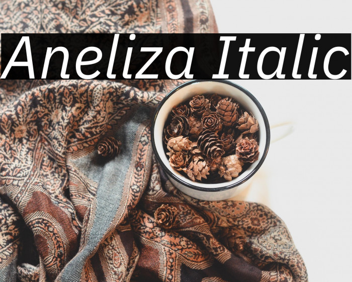 Aneliza Italic Example 2