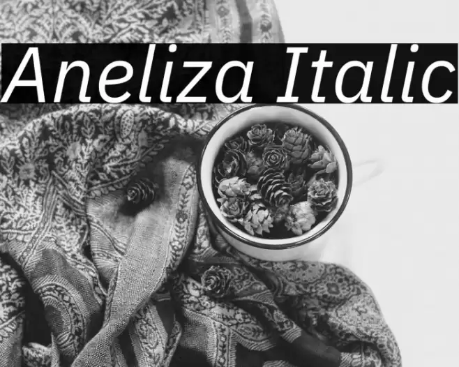 Aneliza Italic Caratteri examples