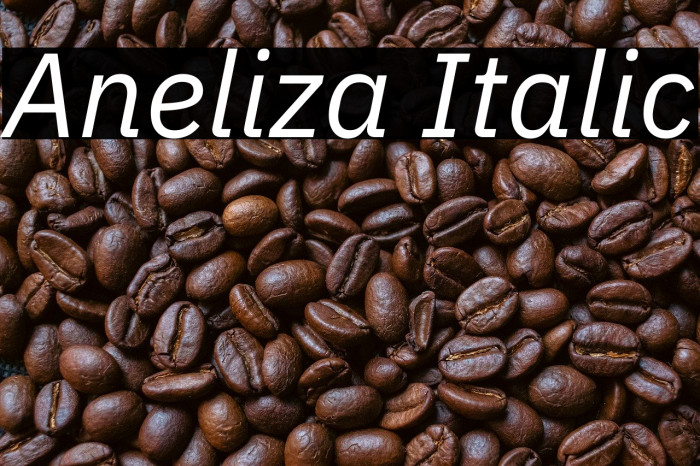 Aneliza Italic Example 3