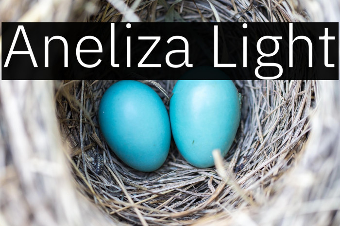 Aneliza Light Example 1