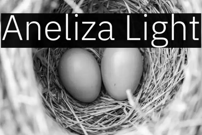 Aneliza Light Caratteri examples