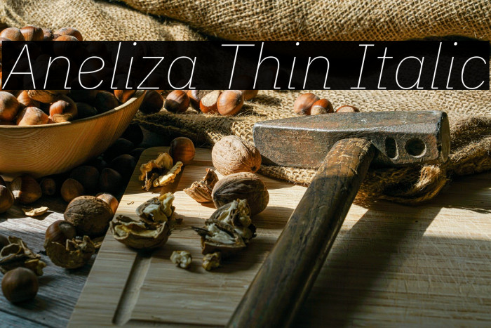Aneliza Thin Italic Example 3