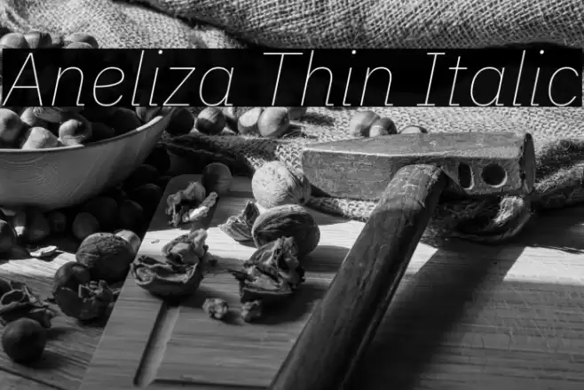 Aneliza Thin Italic Font examples
