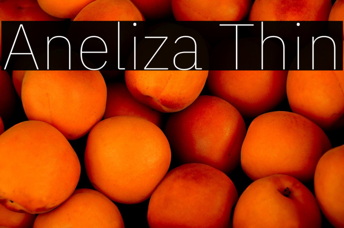 Aneliza Thin Example 2