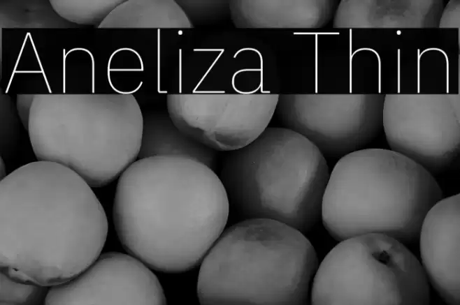 Aneliza Thin Font examples