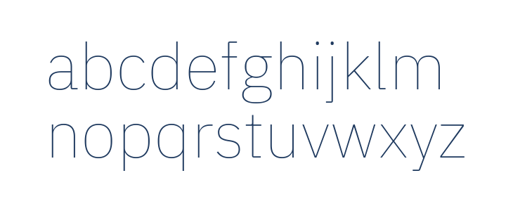 Aneliza Thin Lowercase