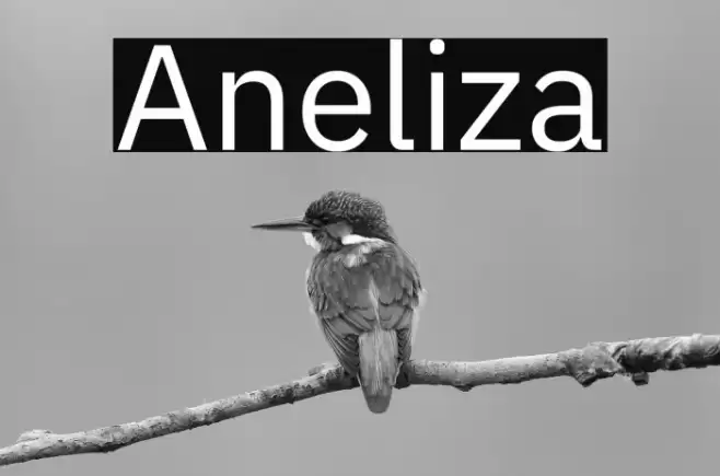 Aneliza Font examples