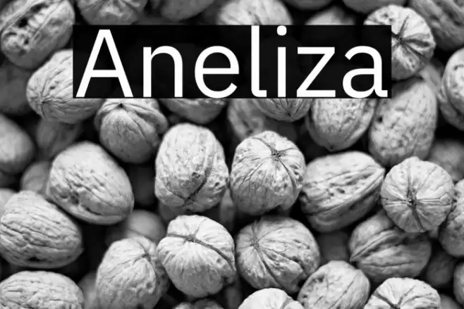 Aneliza Font examples