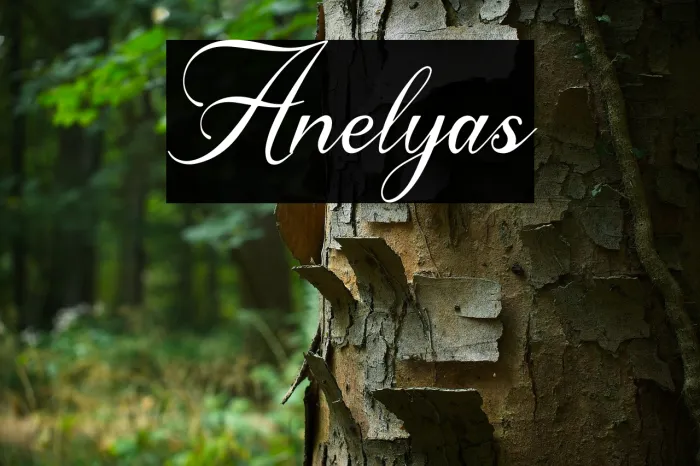 Anelyas Example 2