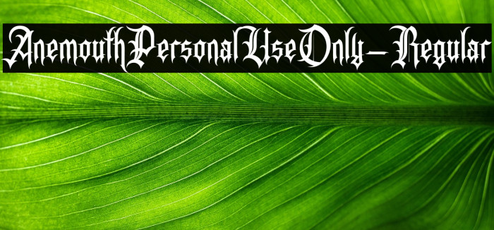 AnemouthPersonalUseOnly-Regular Example 1