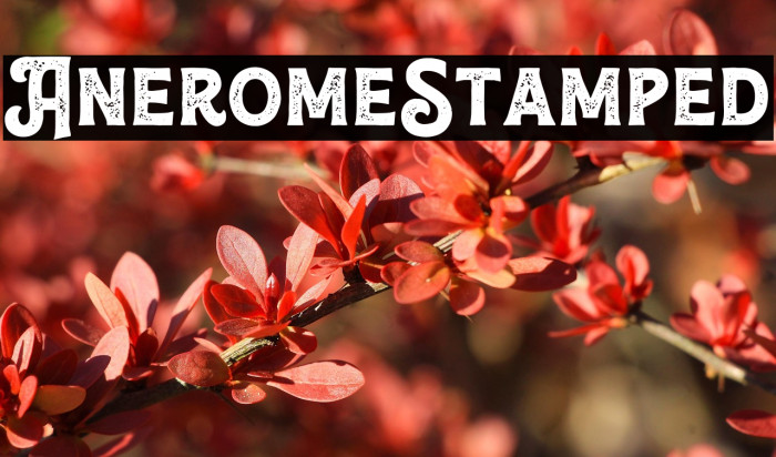 Anerome-Stamped Example 1