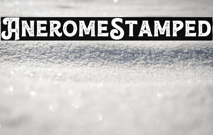 Anerome-Stamped Example 3