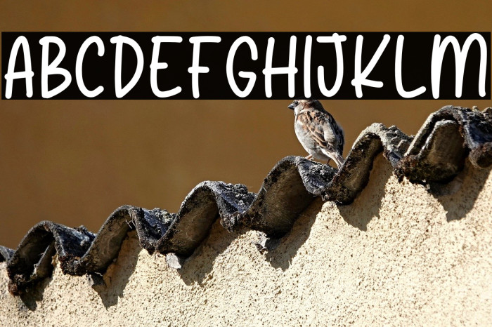 Aneska Kids Personal Use Example 2