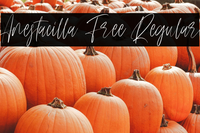 Anestacilla Free Regular Example 1