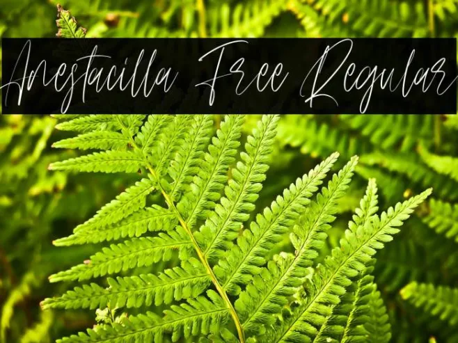 Anestacilla Free Regular Example 2