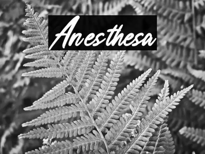 Anesthesa خط examples