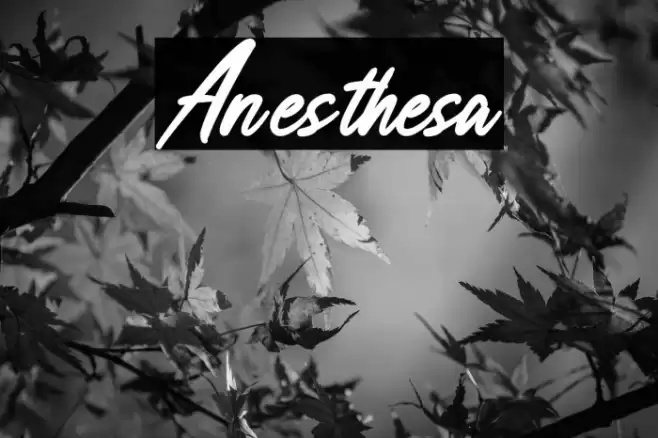 Anesthesa خط examples