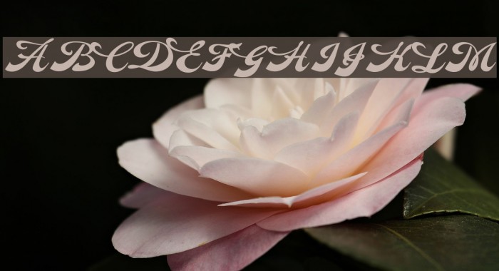 Anette Personal Use Font examples