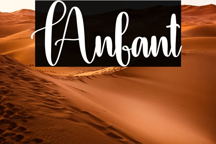 Anfant Example 2