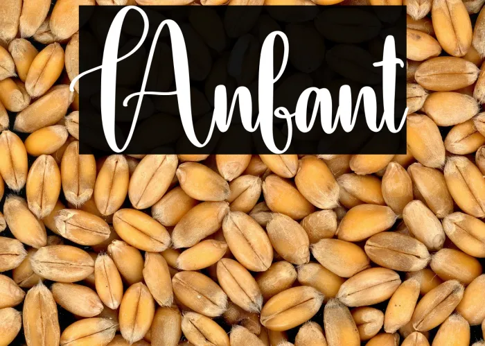 Anfant Example 3