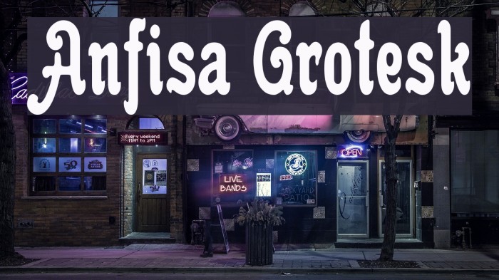 Anfisa Grotesk Font examples
