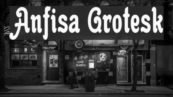 Anfisa Grotesk Font examples