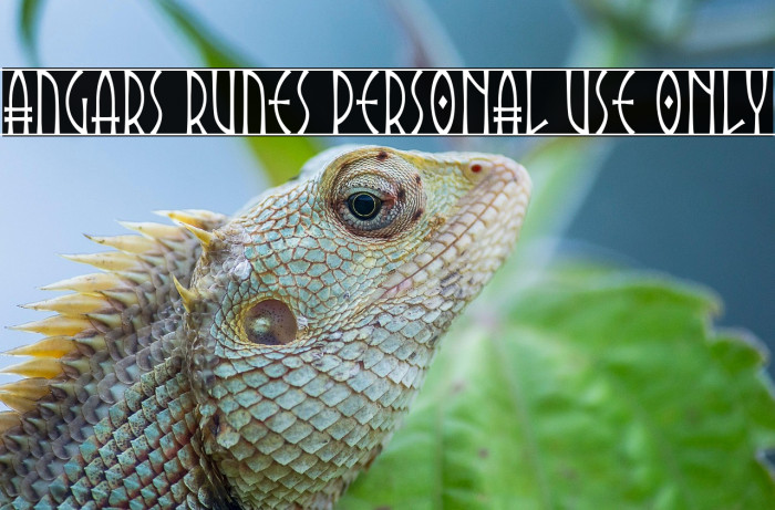Angars Runes PERSONAL USE ONLY Example 3