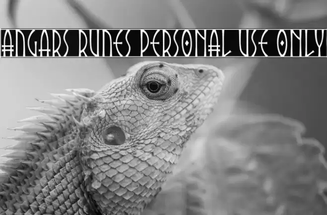 Angars Runes PERSONAL USE ONLY Font examples