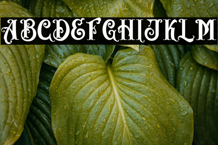 AngeL Bilsh - Demo Example 3