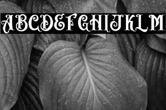 AngeL Bilsh - Demo Font examples