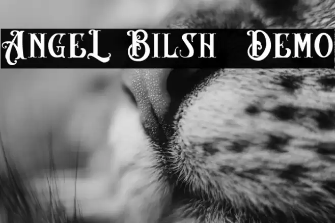 AngeL Bilsh - Demo Font examples