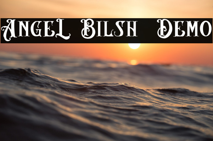 AngeL Bilsh - Demo Example 2