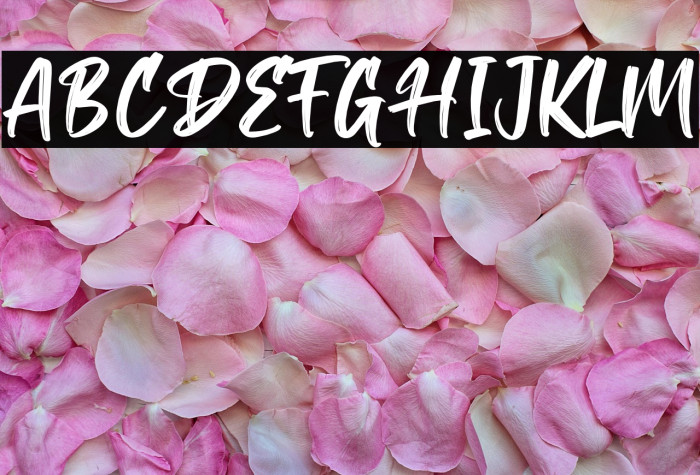 Angeater-Regular Example 1