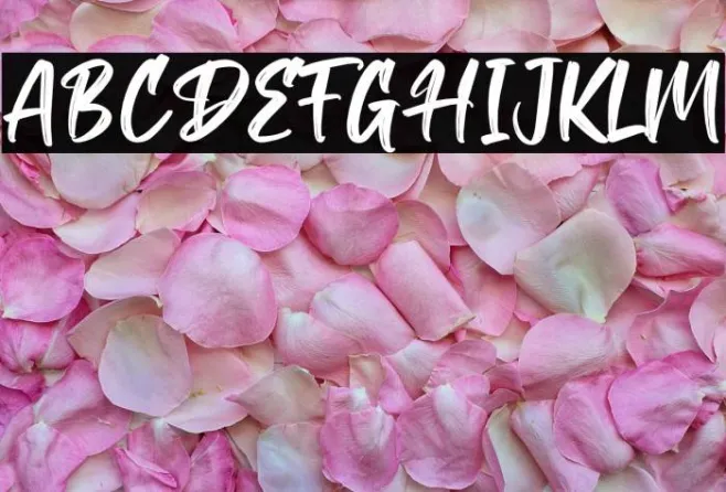 Angeater-Regular Example 1