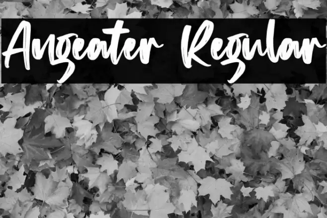 Angeater Regular Font examples